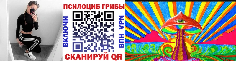 что такое   Солнечногорск  Галлюциногенные грибы мухоморы 