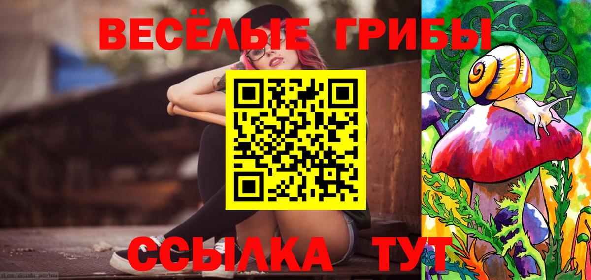 Псилоцибиновые грибы Psilocybe Солнечногорск