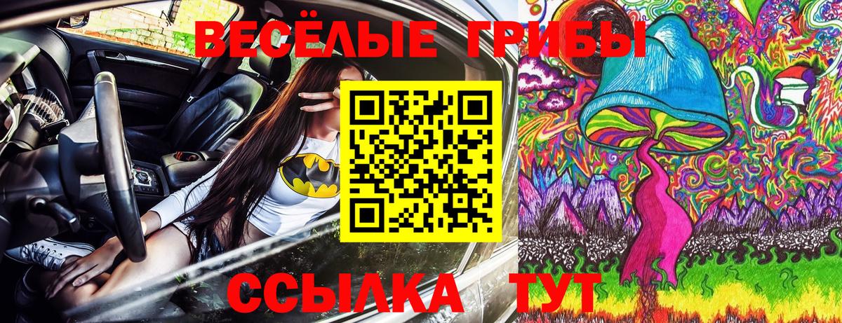 Псилоцибиновые грибы Cubensis Солнечногорск